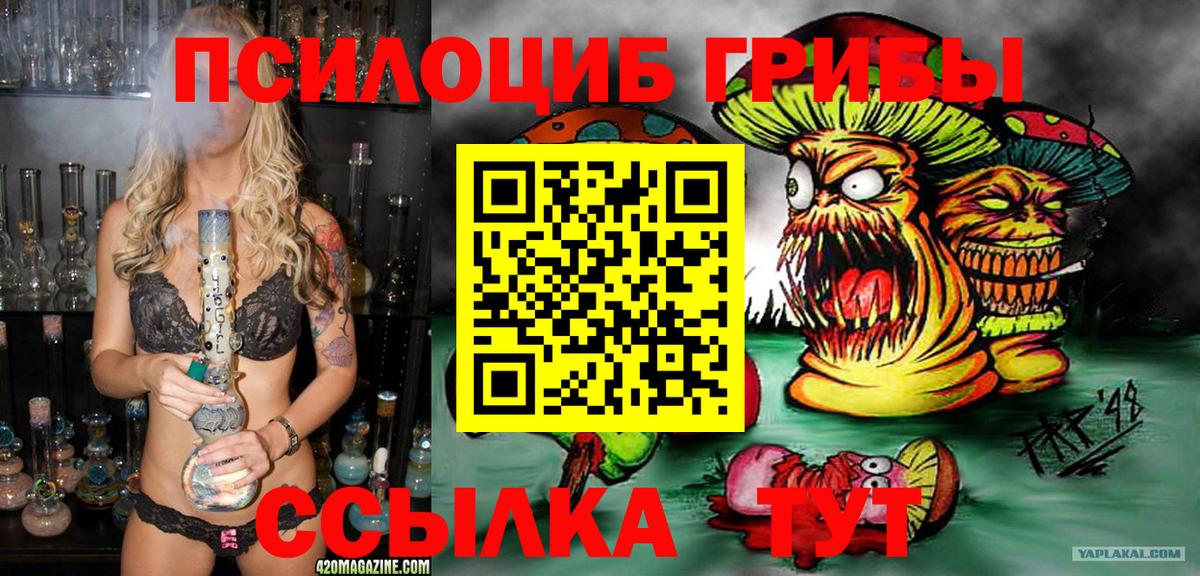 Псилоцибиновые грибы Magic Shrooms Фурманов