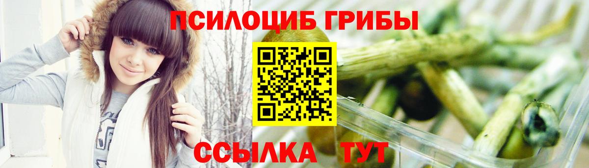 где купить наркотик  Псилоцибиновые грибы Magic Shrooms  Вход с VPN  Фурманов  Псилоцибиновые грибы мицелий 